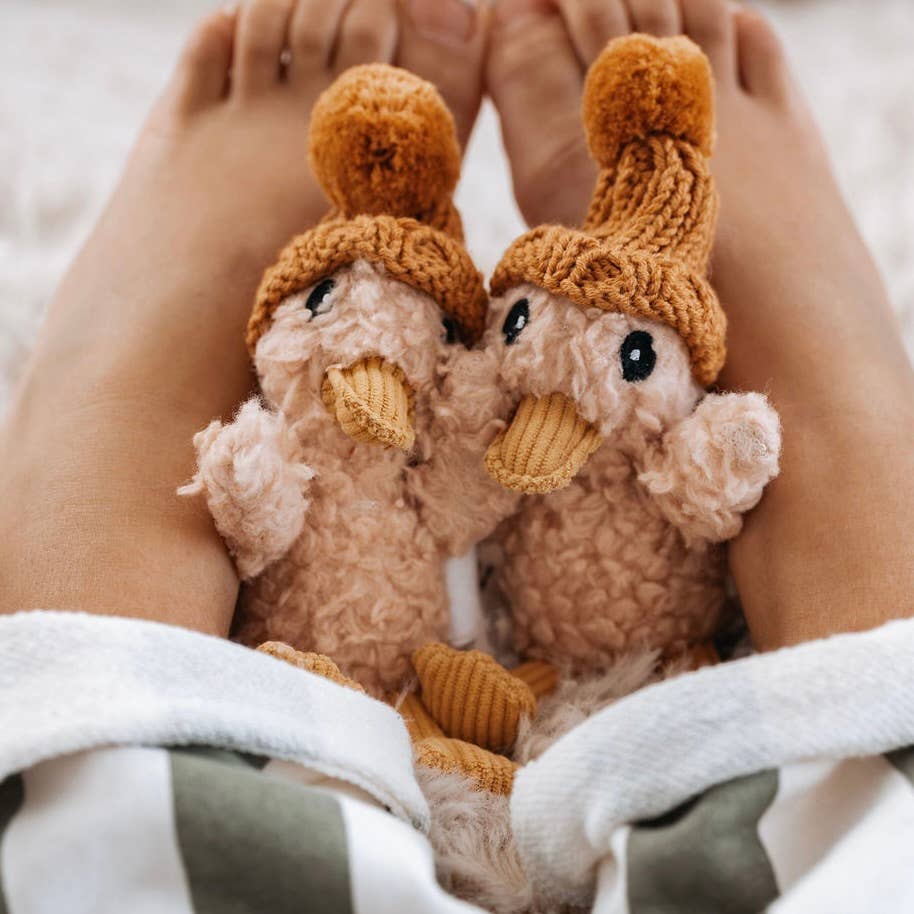 The Little Dog and the Lost Duck | Book & Plush Gift Box