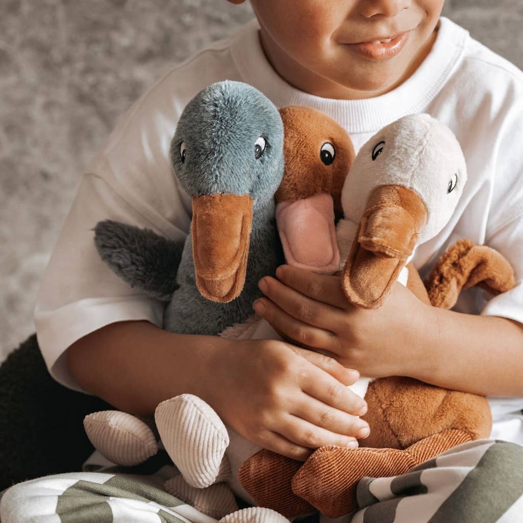 Kids Collections