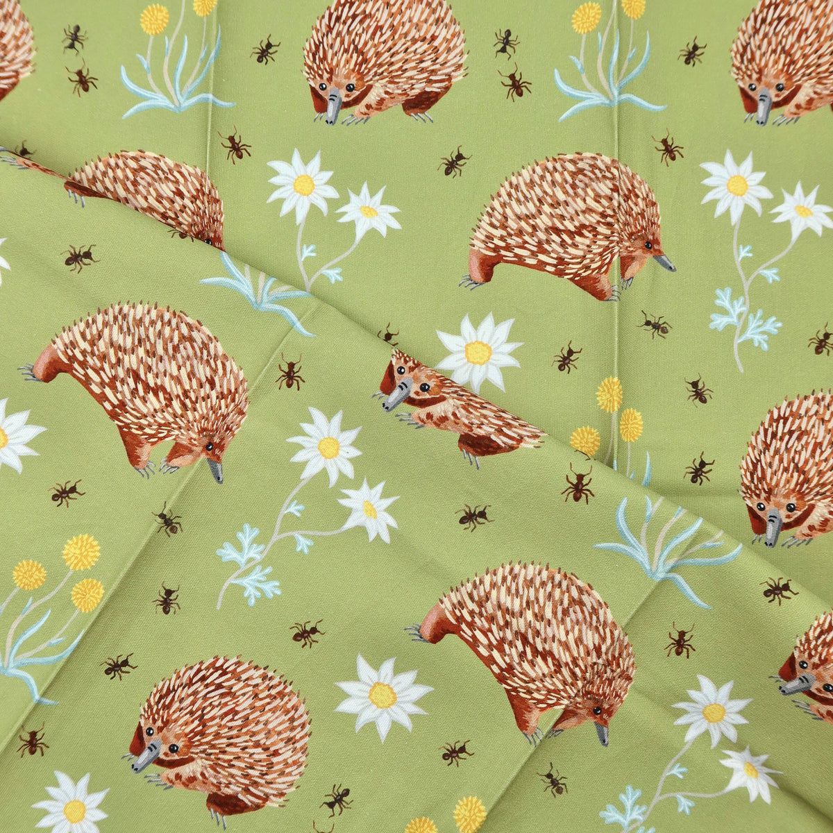 Australian Tea Towel | Echidna