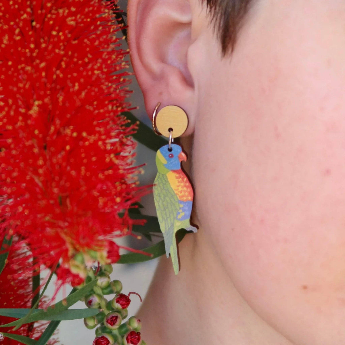 Earrings | Rainbow Lorikeet Australian Bird