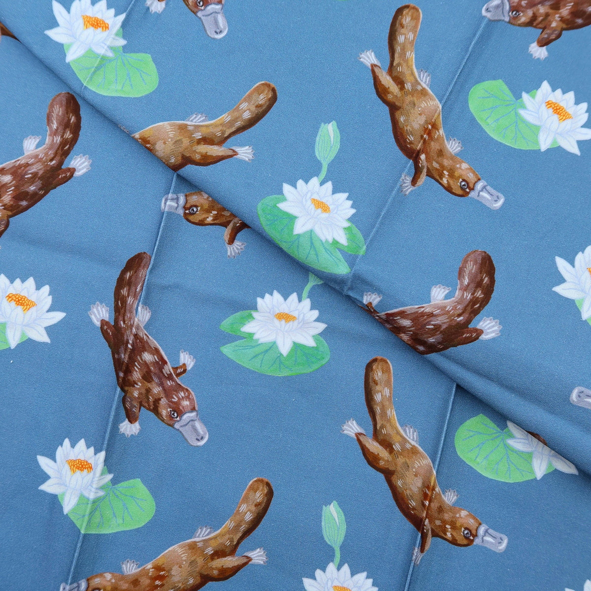 Australian Tea Towel | Platypus