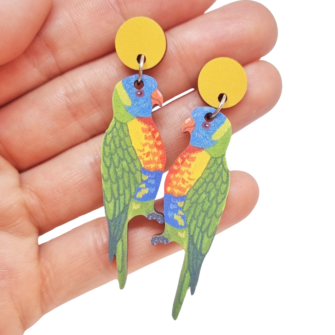 Earrings | Rainbow Lorikeet Australian Bird
