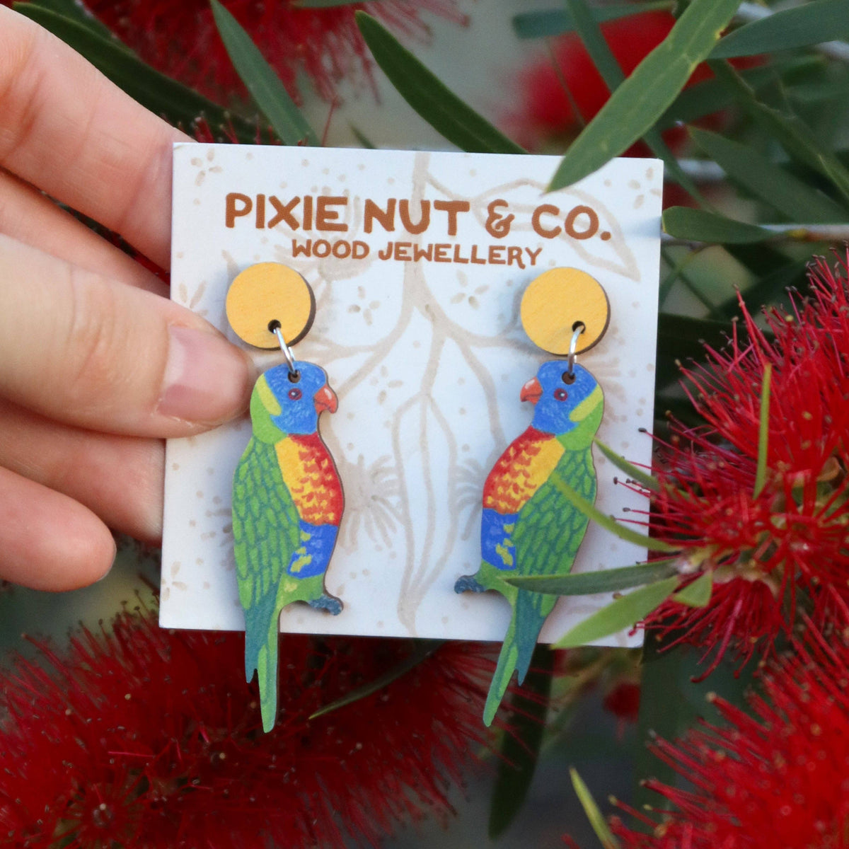 Earrings | Rainbow Lorikeet Australian Bird